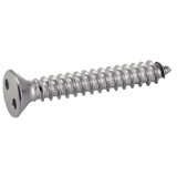 Reference 62807 - Countersunk head security tapping screw "Snake eyes" recess - Stainless steel A2