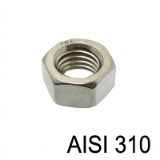 AISI 310