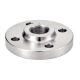 Modèle 5725 - BSP threaded neck flange - Type 13B - Stainless steel 1.4307 - 1.4404