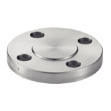 Modèle 5962 - Class 300 blind flange - Stainless steel 316L