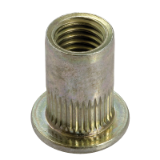 Model 19772 - Rivkle® blind nut with cylindrical shaft and  flat head - Passivated zinc plated 400 HSST